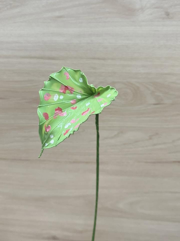 彩葉芋水晶花 - 新北中和手作課程與完成品