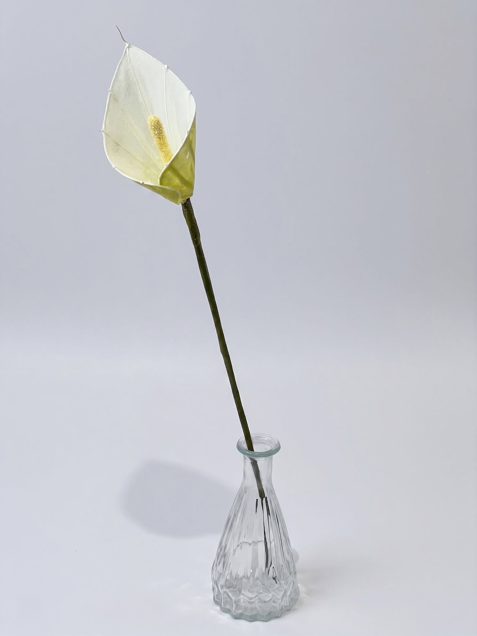 海芋水晶花 - 新北中和手作課程與完成品