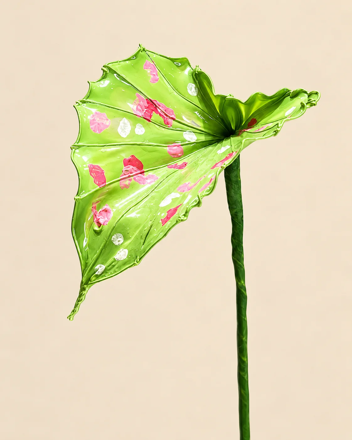 彩葉芋水晶花作品