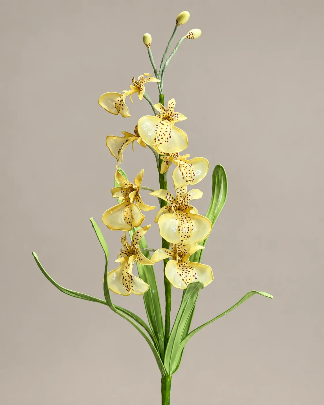 文心蘭水晶花作品