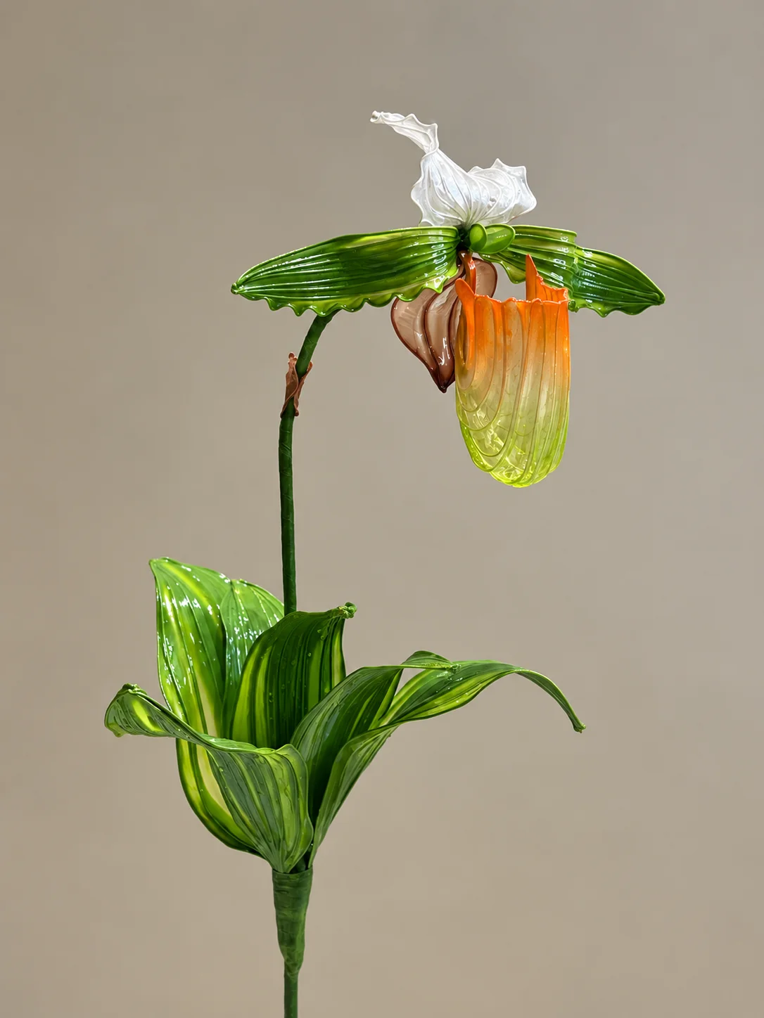拖鞋蘭水晶花作品