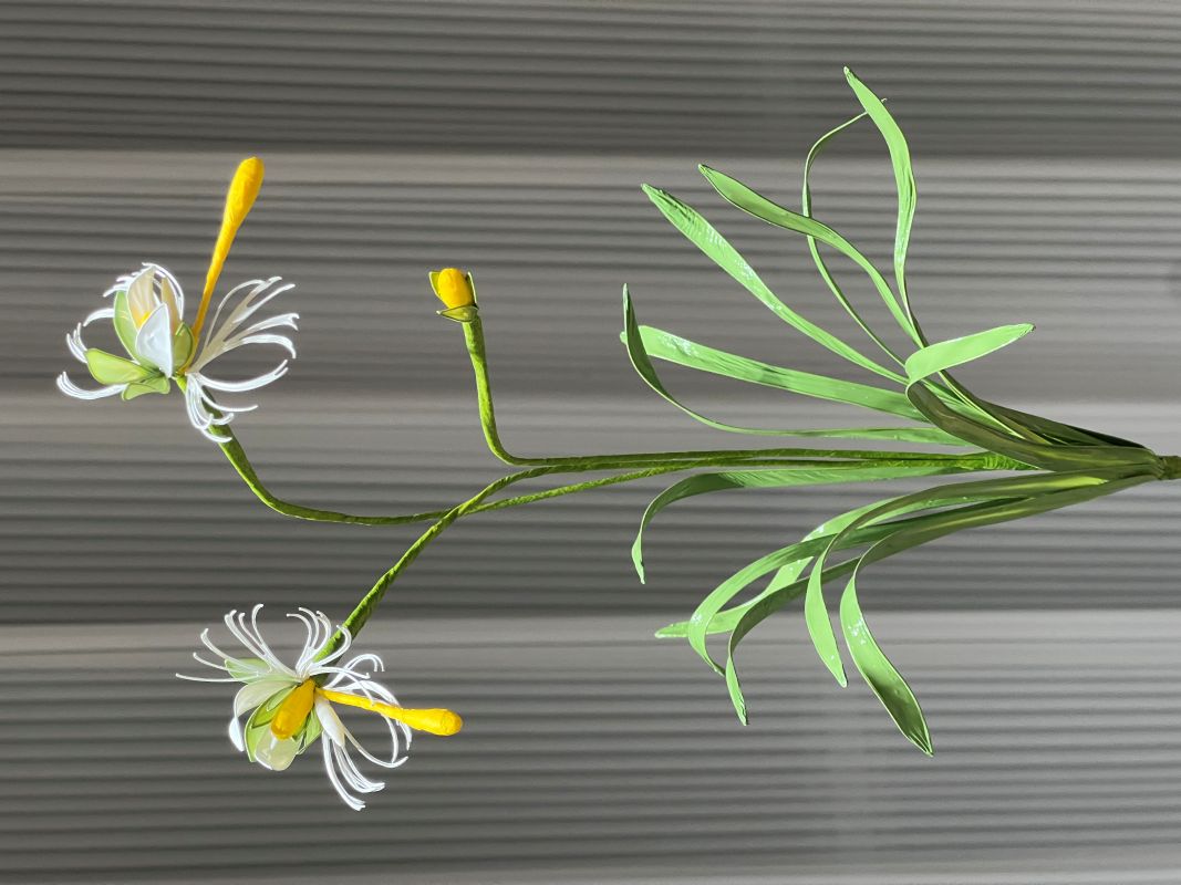 鷺草水晶花 - 新北中和手作課程與完成品